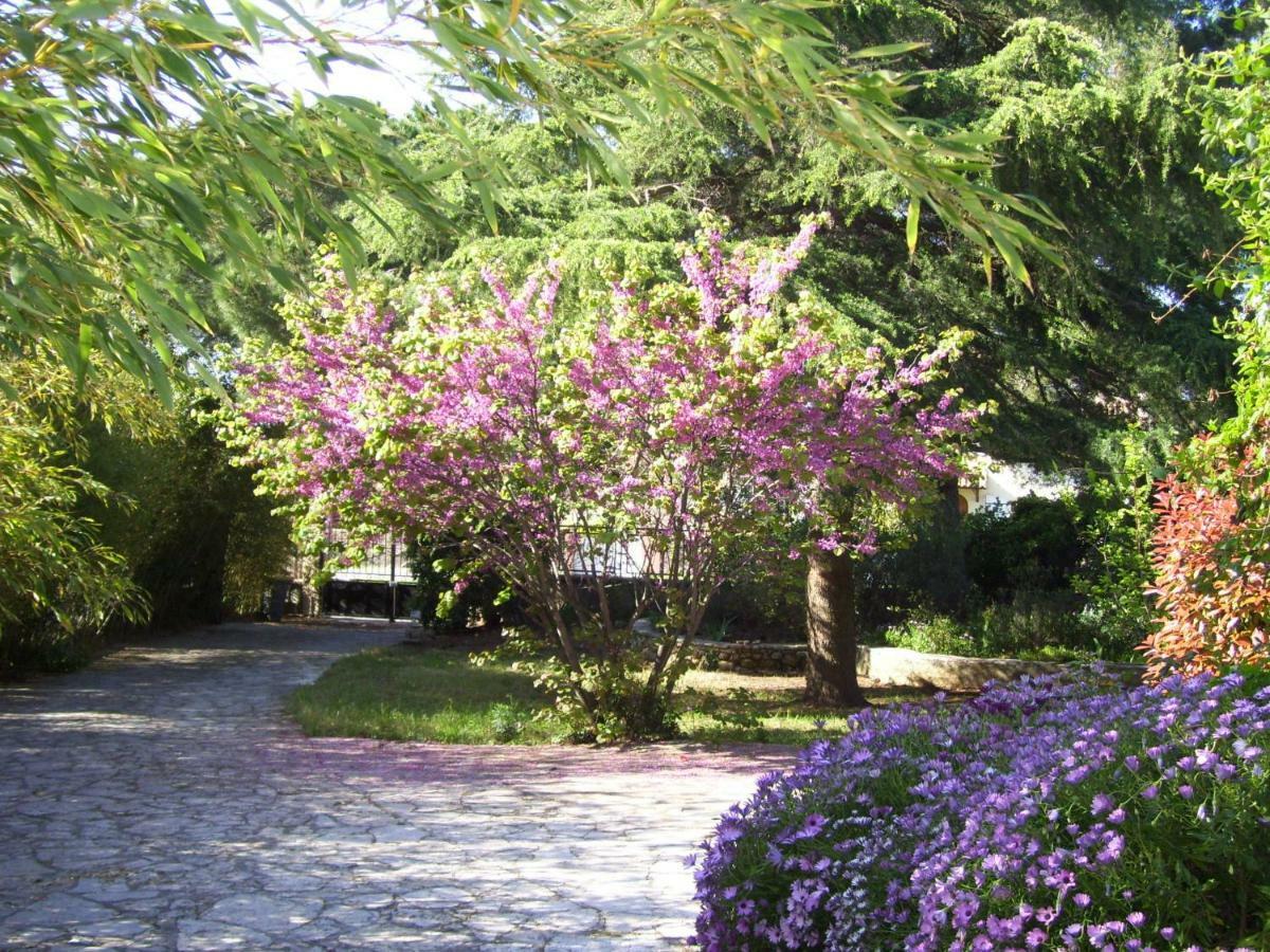 Le Paradis De Valerie Sète Buitenkant foto
